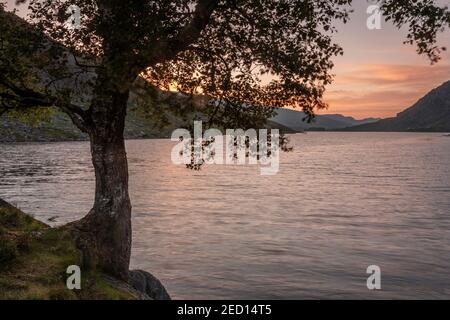 Dawn Breaking au-dessus de Llyn Ogwen, Snowdonia, au nord du pays de Galles Banque D'Images
