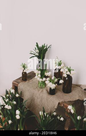 Fleurs blanches printanières dans des bouteilles en verre rétro sur du linge rustique et du bois dans la chambre. La vie rurale encore. Bonjour printemps. Jardinage et botanique. FIR Banque D'Images