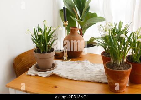 Fleurs printanières en pots d'argile et vase en terre cuite sur table rustique en bois avec tissus en lin dans la chambre. La vie rurale encore. Bonjour printemps. Jardinage an Banque D'Images