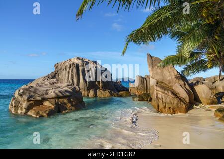 Formation de rochers et palmiers sur une plage de sable, Anse Patates, la Digue, Seychelles Banque D'Images