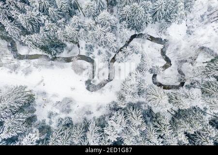 Image de drone, hiver dans la forêt souabe, ruisseau de méandres, forêt mixte, Bade-Wurtemberg, Allemagne Banque D'Images