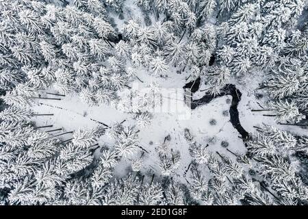 Image de drone, hiver dans la forêt souabe, ruisseau de méandres, forêt mixte, Bade-Wurtemberg, Allemagne Banque D'Images