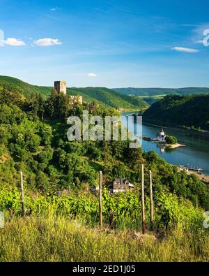 Vue sur le château de Gutenfels sur le Rhin, à l'arrière du château de Pfalzgrafenstein, Kaub, Rhénanie-Palatinat, Allemagne Banque D'Images