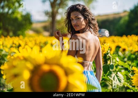 Vue arrière de la femme ethnique mince debout dans le champ avec des tournesols fleuris le jour ensoleillé en été en regardant sur le épaule Banque D'Images