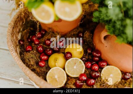 Panier en osier, décoré de citrons frais et de cerises à côté de deux cyprès dans un pot à fleurs, placé sur une table en bois Banque D'Images