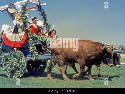 Sassari, Sardaigne, Italie. Photos historiques de Cavalcata Sarda 1964 (scannés à partir de Perutz color C18 fiilm) Banque D'Images