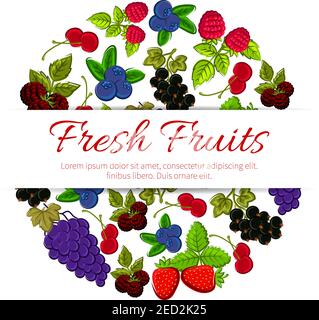 Fruits et baies frais. Emblème de fruits vectoriels pour bannière, autocollant de dessert, confiture ou jus de fruits. Fruits et baies de raisins, de la forêt et du jardin, s Illustration de Vecteur