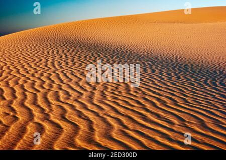 Dunes au coucher du soleil, Monahans Sandhills State Park, Désert de Chihuahuan, Texas, États-Unis Banque D'Images