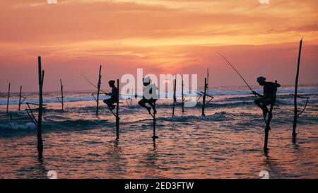 Silhouettes de trois pêcheurs au beau coucher du soleil. Pêche traditionnelle sur pilotis au Sri Lanka. Banque D'Images