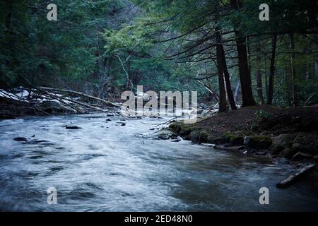 La rivière Youghiogheny au parc national de Swallow Falls, Oakland, comté de Garrett, Maryland, États-Unis Banque D'Images