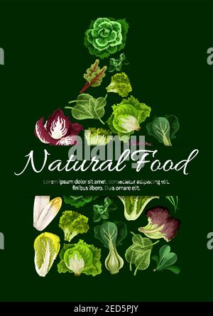 Symbole salade verte. Affiche végétarienne d'aliments naturels avec laitue vecteur légumes arugula, salade de chicorée et épinards, lollo rossa, radicchio, s Illustration de Vecteur