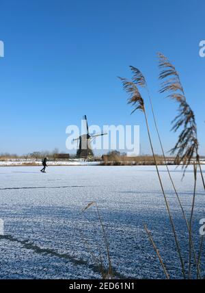 l'homme skate sur la glace près du moulin à vent de kinderdijk en hollande le jour d'hiver ensoleillé Banque D'Images