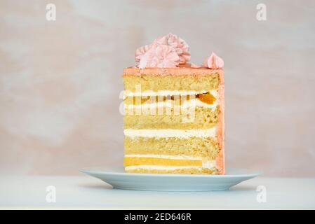 Morceau de gâteau sur la plaque blanche. Gâteaux éponge et crème à la vanille Banque D'Images