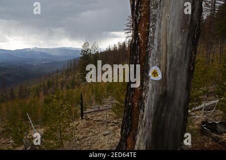 Surplombant la vallée de Yaak et Yaak Montana depuis le sentier panoramique national du Nord-Ouest du Pacifique. Forêt nationale de Kootenai, Montana. (Photo de Randy Beacham) Banque D'Images