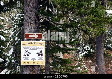 Panneau de l'habitat de l'ours grizzli le long du sentier panoramique national du Nord-Ouest du Pacifique dans les montagnes Purcell. Montana Idaho Divide. (Photo de Randy Beacham) Banque D'Images