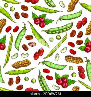 Motif sans coutures haricots et noix. Grains de café vecteur frais et torréfiés, arachides nutritives séchées en carapace, gousses de pois verts, légumineuses vertes. Vegeta Illustration de Vecteur