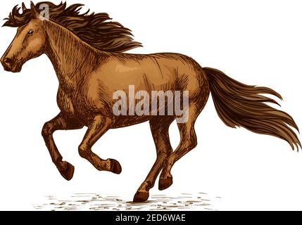 Esquisse de vecteur de course de chevaux. mustang arabe courant ou galopant sur des courses sportives. Symbole brun sauvage ou étalon de ferme pour l'équitation équestre cl Illustration de Vecteur