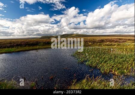 Bleaklow vu depuis le sommet de la route A57 qui relie Sheffield et Manchester, Peak District National Park, Angleterre, Royaume-Uni Banque D'Images