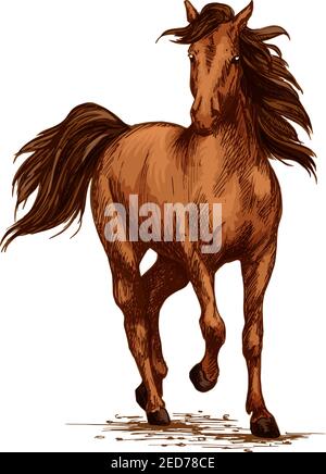 Course ou course à pied. mustang brun arabe galopant ou faisant du trotting sur des courses sportives. Ferme d'esquisse vectorielle ou esquisse vectorielle de l'étalon de ranch. Symbole f Illustration de Vecteur