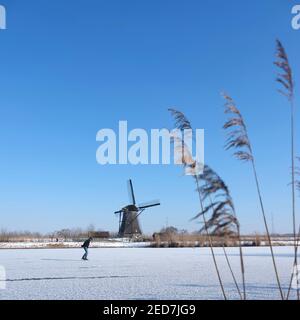 l'homme skate sur la glace près du moulin à vent de kinderdijk en hollande le jour d'hiver ensoleillé Banque D'Images