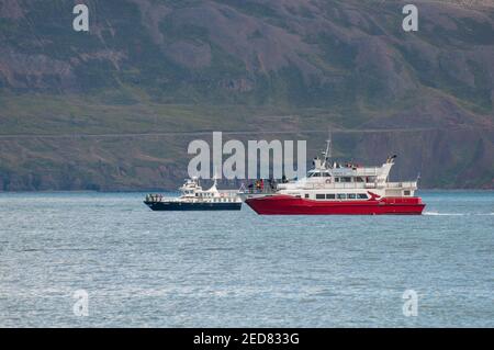 Eyjafjordur Islande - août 31. 2017: Bateaux de safari d'observation des baleines Kunsull et Holmasol Banque D'Images