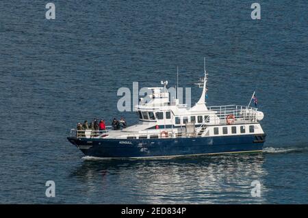 Eyjafjordur Islande - août 31. 2017: Observation des baleines safari bateaux Kunsull Banque D'Images