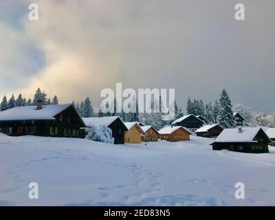 Les cabanes se trouvent sur la piste de ski fraîchement enneigée. village de vacances avec maisons en bois alpin en face d'une forêt de sapins enneigés. Bödele Banque D'Images