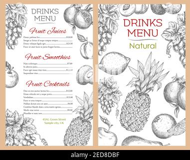 Menu de boissons pour les boissons aux fruits et jus, smoothie aux fruits et cocktails de fruits biologiques naturels de la ferme pomme, abricot et poire, pineapp tropicale Illustration de Vecteur