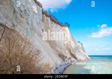 La falaise de Mons Klint au Danemark le jour du printemps Banque D'Images