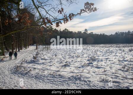 Couple marchant dans un paysage couvert de neige avec forêt à Achterhoek, Hollande Banque D'Images