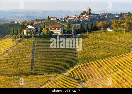 Paysage automnal pittoresque de vignobles autour de Serralunga d’Alba dans la région de Langhe, Piémont, Italie Banque D'Images