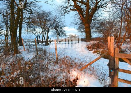 Scène de l'hiver au sommet de Fackenden vers le bas, avec clôture et porte en plein soleil et beaucoup de neige, arbres et champ, Shoreham, Kent, Angleterre, Février 2021 Banque D'Images