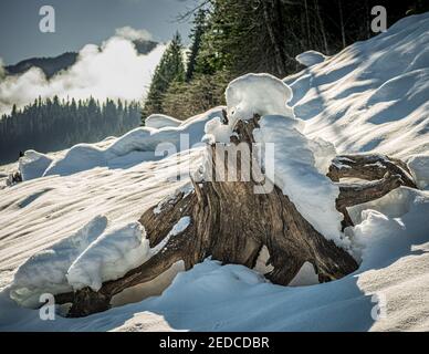 CLE Elum, WA, États-Unis - janvier 23 2021 : accumulation de neige au lac Kachess Banque D'Images