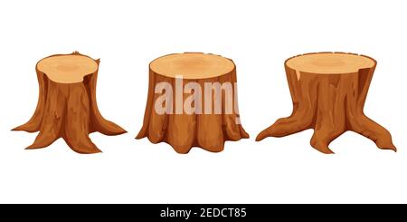 Ensemble de souches d'arbre détaillées, texturées dans le style de dessin animé isolé sur fond blanc illustration vectorielle de stock. Pièces hachées, matériaux de menuiserie. . V Illustration de Vecteur