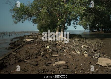 Les mangroves et le reste d'une structure artificielle sur un paysage côtier souffrant de l'érosion côtière à Kamal Muara, Jakarta, Indonésie. Banque D'Images