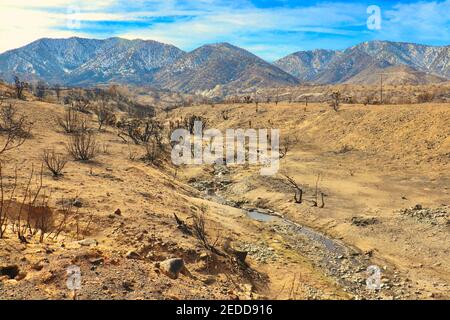 Séquelles des incendies de Californie en 2020 dans la forêt nationale d'Angeles. Photos prises près du sentier de randonnée de Devils Punchbowl février 2021. Banque D'Images