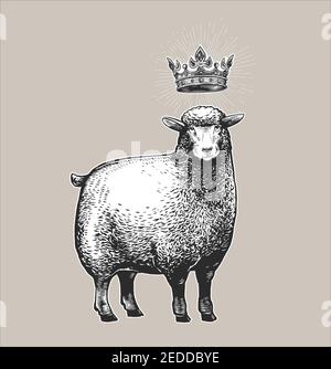 Vecteur stylisé Illustration du mouton avec la couronne au-dessus de la tête et expression fasiale surprise. Illustration vectorielle de la Reine Sheep dans Illustration de Vecteur