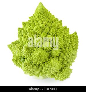 Brocoli romanesco isolé sur fond blanc. Serre de légumes de chou-fleur romain vert Banque D'Images