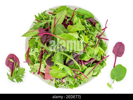 Salade de feuilles dans un bol isolé sur fond blanc. Mélanger les feuilles fraîches d'arugula, de laitue et de feuille d'épinards. Vue de dessus Banque D'Images