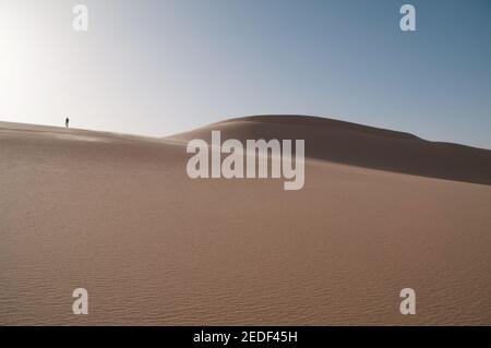 Un homme qui marche sur une dune de sable à dos de baleine dans la Grande mer de sable, dans la région du désert occidental du Sahara, en Égypte. Banque D'Images