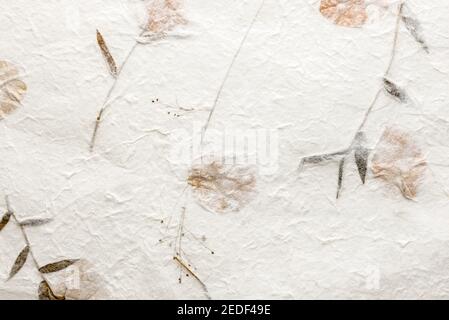 Texture de papier de mûrisson froissé avec fleurs séchées pour le fond Banque D'Images