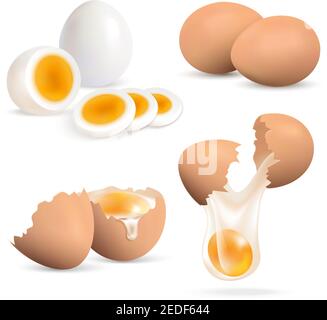 Œufs durs et crus ensemble réaliste isolé sur blanc illustration vectorielle d'arrière-plan Illustration de Vecteur