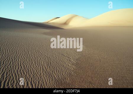 Une dune de sable géante à dos de baleine s'étendant sur la Grande mer de sable, dans la région du désert occidental du Sahara, en Égypte. Banque D'Images