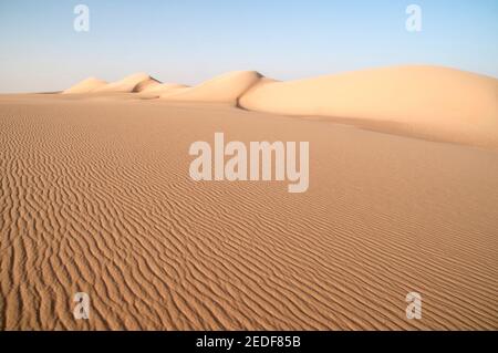 Une dune de sable géante à dos de baleine s'étendant sur la Grande mer de sable, dans la région du désert occidental du Sahara, en Égypte. Banque D'Images