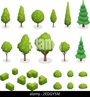 Ensemble isométrique de plantes de parc avec arbres verts et buissons illustration vectorielle isolée de différentes formes Illustration de Vecteur