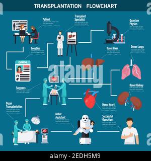 Schéma de la transplantation avec les chirurgiens patients coeur donneur poumons foie icônes de l'assistant robot illustration du vecteur plat Illustration de Vecteur