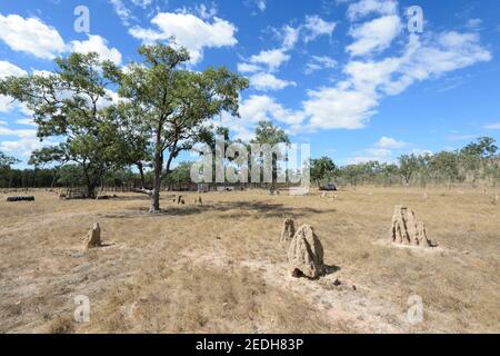 Vue sur l'ancienne cour de bétail et les termites monticules, Lorella Springs Wilderness Park, près de Borroloola, territoire du Nord, territoire du Nord, Australie Banque D'Images