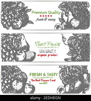 Fruits frais et savoureux. Bannières vectorielles ensemble de fruits blanc ou vert bouquet de raisin, pomme et grenade juteuse, pomme, abricot et poire, pin tropical Illustration de Vecteur