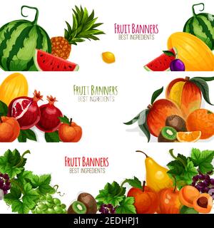 Ensemble de bannières fruits. Fruits mûrs de ferme récolte de pastèque et de pastèque juteuses vectorielles, ananas exotique, kiwi et mangue, banane, orange et agrumes Illustration de Vecteur
