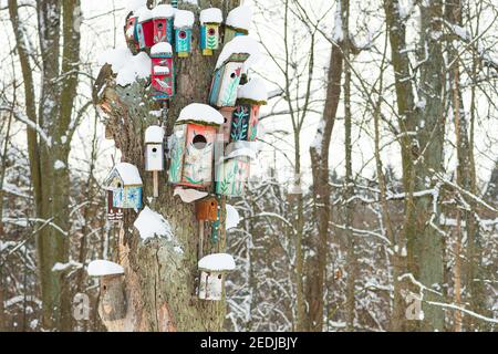 Groupe de belles maisons d'oiseaux en bois colorées avec des toits couverts par la neige dans une forêt ou un parc en hiver Banque D'Images